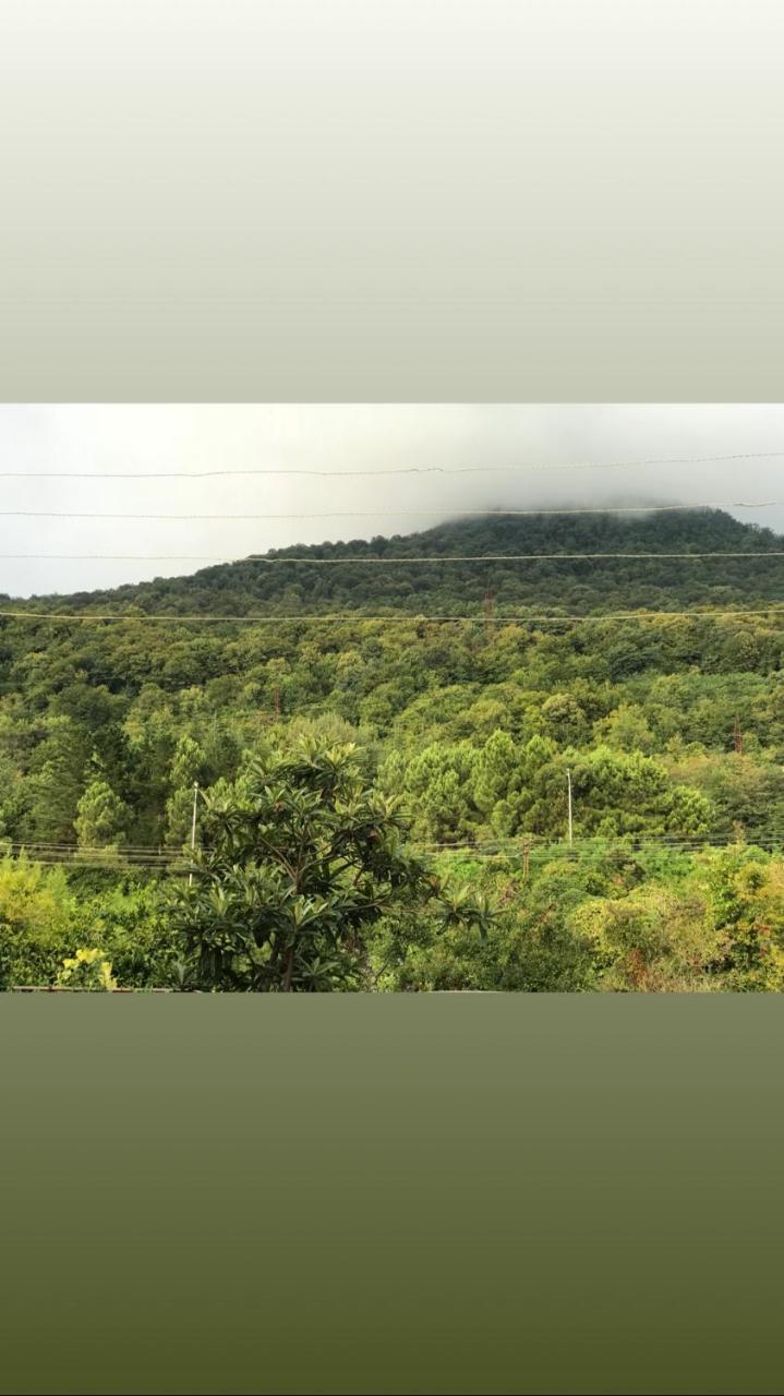 Guesthouse On Sovhoznaya 18 Gagra Kültér fotó